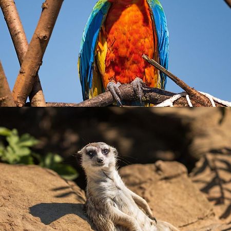 Faunapark Lipova-Lazne Exteriör bild